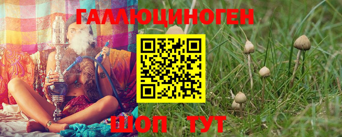 Невинномысск  Галлюциногенные грибы MAGIC MUSHROOMS  Вход с VPN 