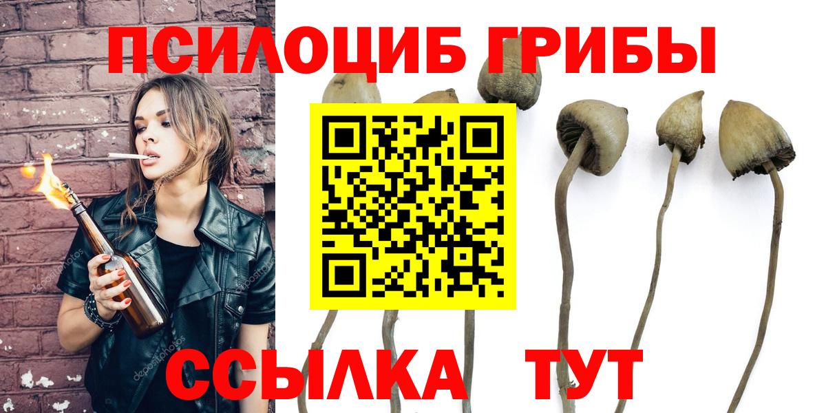 Псилоцибиновые грибы прущие грибы Невинномысск